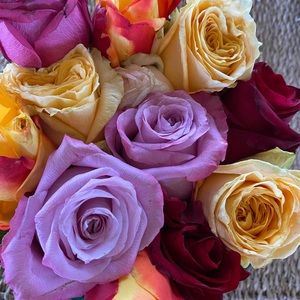 Meet your Posher, Margot